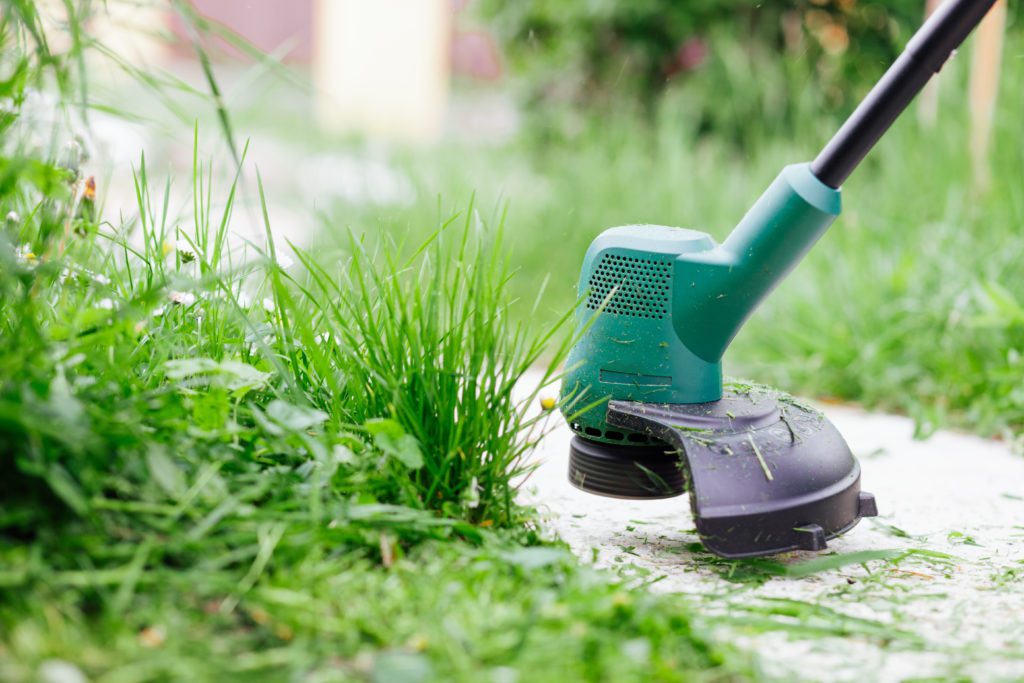 There is a recent trend of investment in the facility services business, paired with a new interest in essential services.