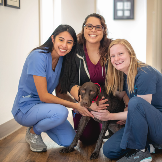 Three medical professionals petting a service dog in a hallway, Caber Hill Advisors